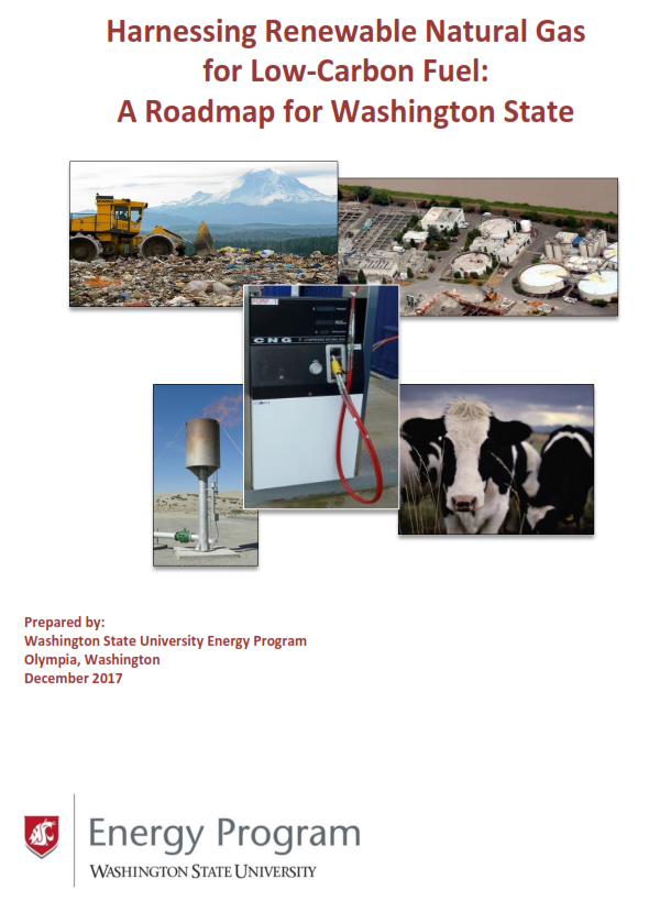 WSU Energy Program > Clean Fuels & Alt Energy